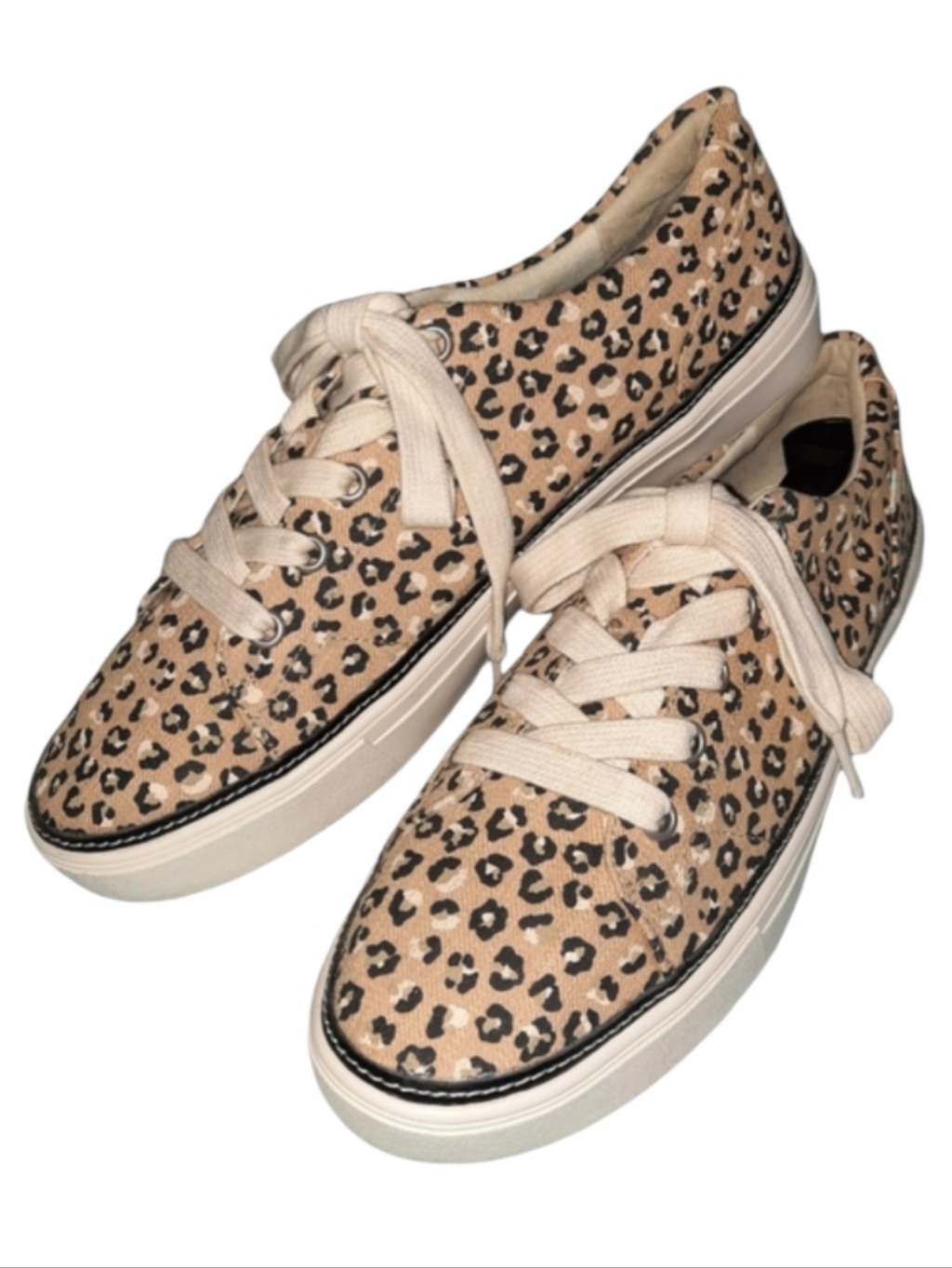 Toms Alex Leopard Print Canvas Sneakers Sz 11